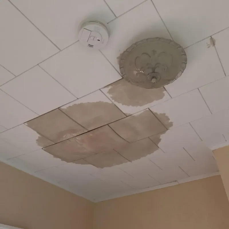 Ceiling Water Damage Repair in Flora, MS