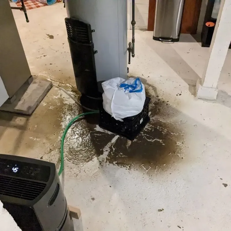Sewage Backup Cleanup Service in Flora, MS
